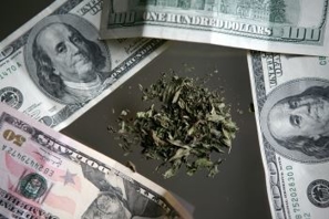 Marijuana Leaves Surrounded by Money